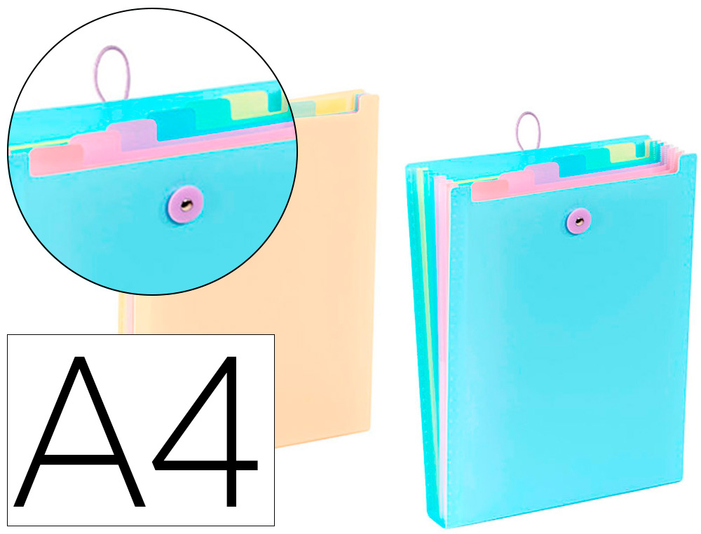 TRIEUR VIQUEL RAINBOW PASTEL POUR SAC A DOS 6              COMPARTIMENTS POLYPROPYLENE   A4 25X33X3,5CM