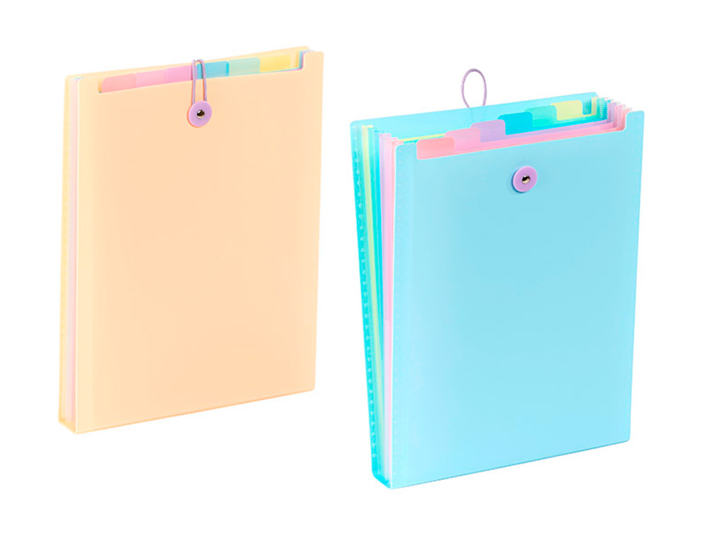 TRIEUR VIQUEL RAINBOW PASTEL POUR SAC A DOS 6 COMPARTIMENTS POLYPROPYLENE A4 25X33X3,5CM