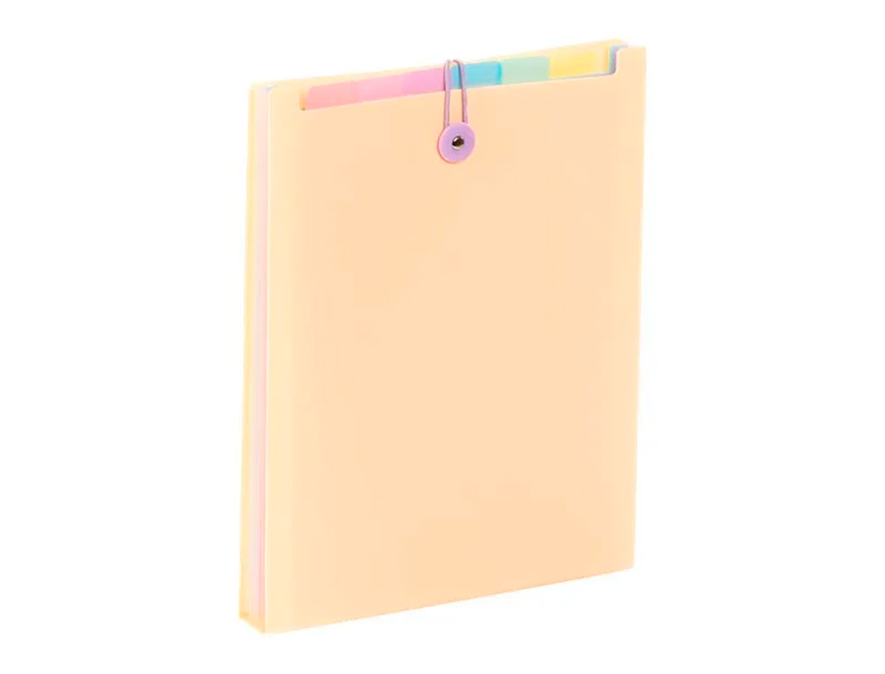 TRIEUR VIQUEL RAINBOW PASTEL POUR SAC A DOS 6 COMPARTIMENTS POLYPROPYLENE A4 25X33X3,5CM