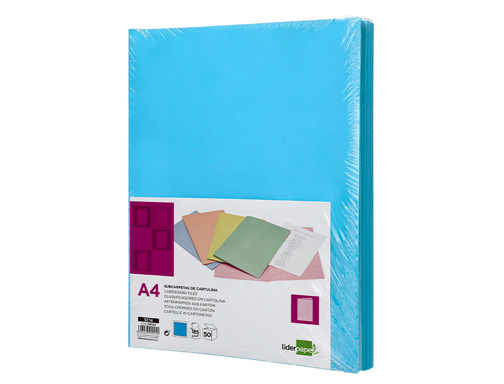 SOUS-CHEMISE LIDERPAPEL PAPIER CARTONN 180G 310X230MM DOCUMENT A4 210X297MM COLORIS COLORIS BLEU CIEL