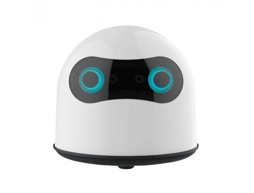 ROBOT D APPRENTISSAGE ACHOKA INTERACTIVE BOT 4 LANGUES     INTERETS PEDAGOGIQUES
