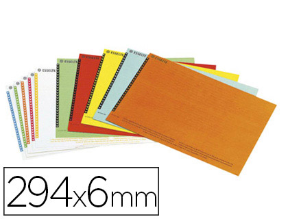 ÉTIQUETTE ESSELTE CARTON 250G/M2 POUR DOSSIERS AZ TIROIRS 295X200MM SACHET BROCHABLE 10 PLANCHES 25 UNITÉS